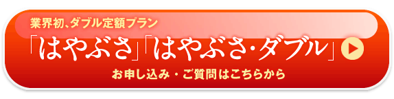 業界初、ダブル定額プラン 「はやぶさ」 「はやぶさ・ダブル」 お申し込みはこちらから