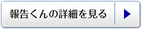 報告くんの詳細を見る
