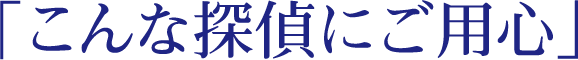 「こんな探偵にご用心」