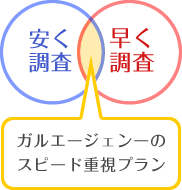 安く調査 早く調査 ガルエージェンーのスピード重視プラン