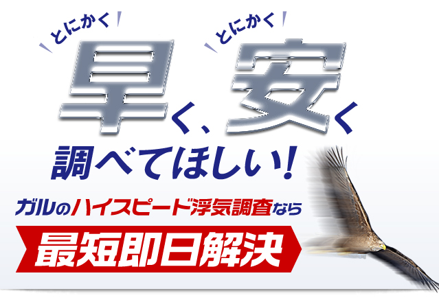  !とにかく!  ! とにかく! 早く、安く調べてほしい！ガルのハイスピード浮気調査なら最短即日解決 