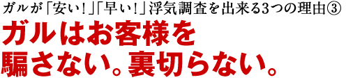 ガルが「安い！」「早い！」浮気調査を出来る3つの理由③ガルはお客様を騙さない。裏切らない。