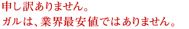 申し訳ありません。ガルは、業界最安値ではありません。